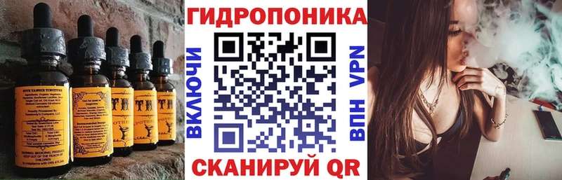 дарнет шоп  Владикавказ  hydra зеркало  Canna-Cookies конопля 