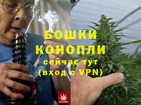 крисы Гусев