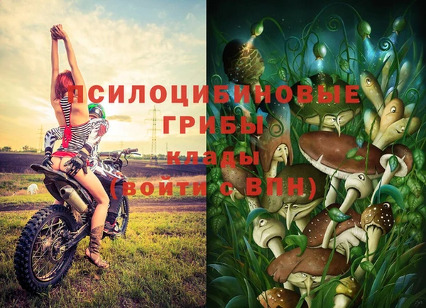 крисы Гусев