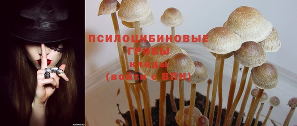2c-b Гусь-Хрустальный