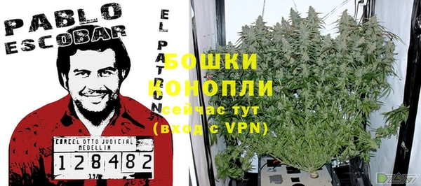 крисы Гусиноозёрск