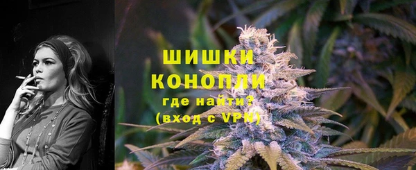 крисы Гусиноозёрск