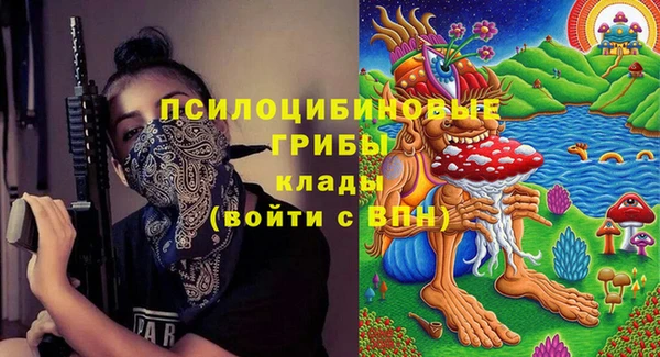 крисы Гусиноозёрск