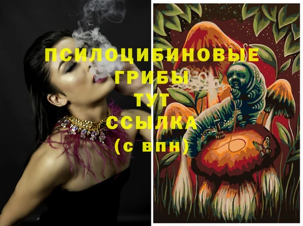 2c-b Гусь-Хрустальный
